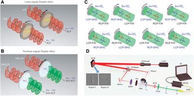 Rotational Doppler Effect With Vortex Beams: Fundamental Mechanism and Technical Progress